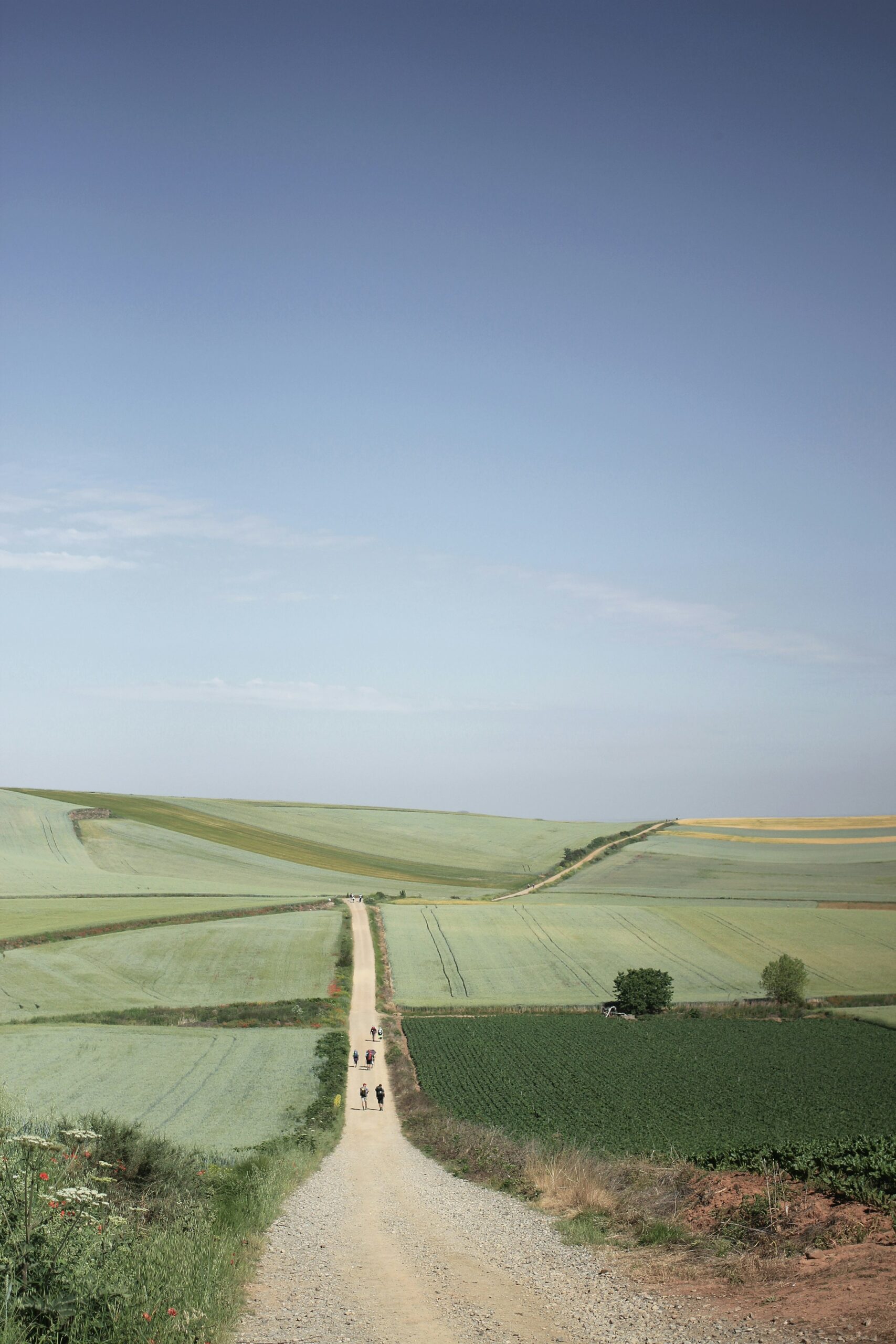 Terra e migrazioni. Appartenere al pianeta Terra, all’acqua e alla terra